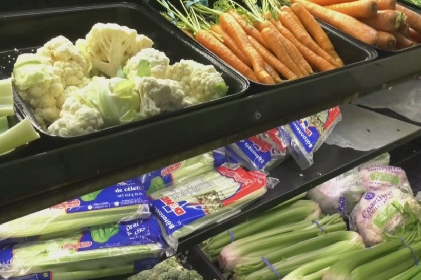 Understanding the Grocery Rebate in Federal Budget 2023