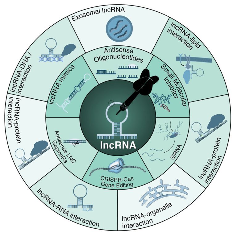 Unlocking the Mystery of Cancer Metabolism: The Surprising Truth Behind Oxygen, Glucose, and Mitochondrial Physiology