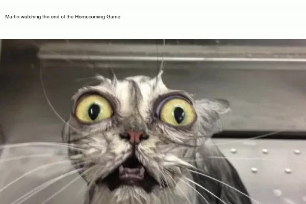 Hocus Pocus AI : Deception, Lies, Manipulation, PsyOp, Mind Control, Murder and Treachery