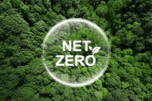 The Ugly Truth Behind Net Zero: A War on Beauty, Nature, and Life Itself