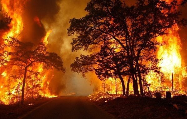 Why the Government Would Rather Fine You $25,000 Than Pay You to Catch an Arsonist